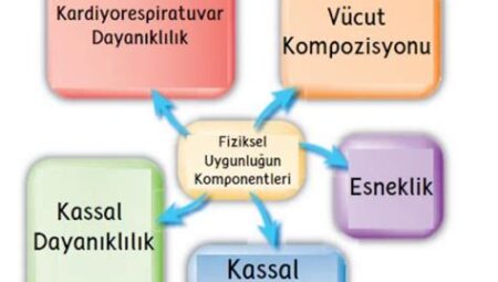 Vücut Kompozisyonu Nasıl Ölçülür?