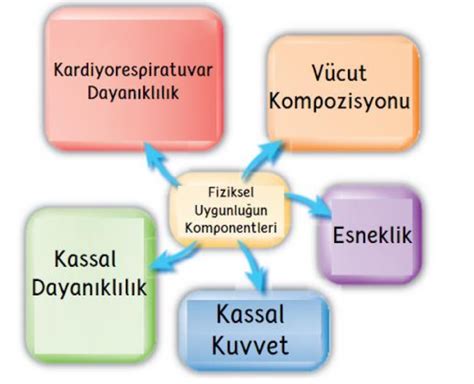 Vücut Kompozisyonu Nasıl Ölçülür?